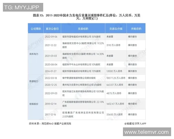 上海排球队在杯赛中的团队协作表现分析与启示