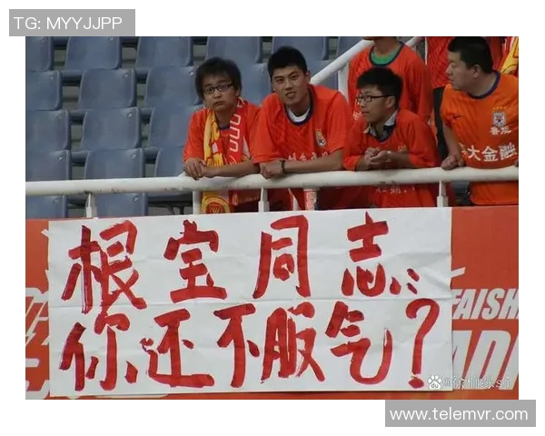 足球停赛了吗球迷心声与赛事未来的思考与展望