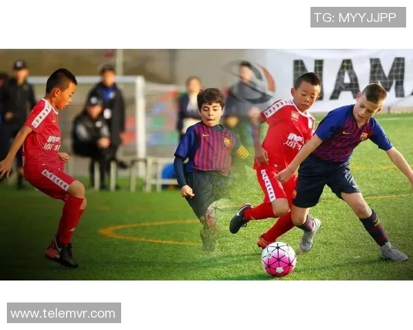 足球素质低的原因分析与提升对策探讨