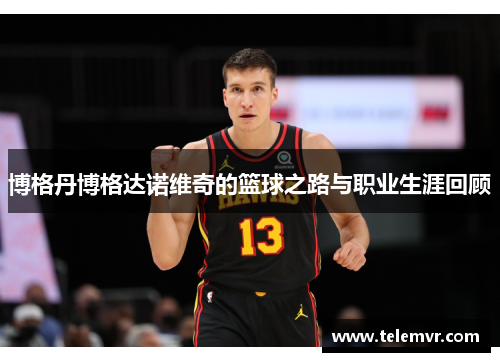 博格丹博格达诺维奇的篮球之路与职业生涯回顾