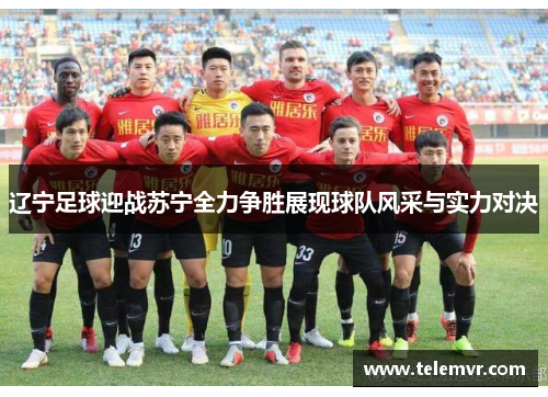 辽宁足球迎战苏宁全力争胜展现球队风采与实力对决
