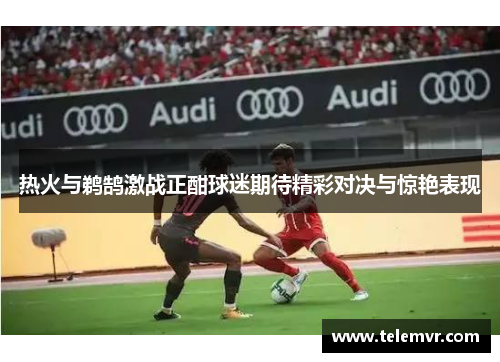 热火与鹈鹄激战正酣球迷期待精彩对决与惊艳表现